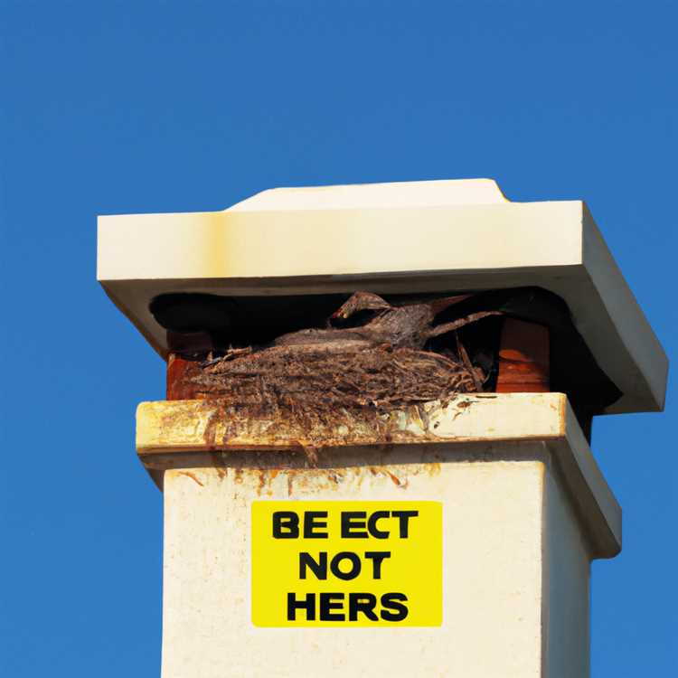 Не допускайте попадания птичьих гнезд в дымоход.